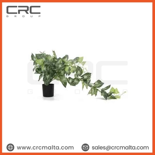 CRC Hanging Ivy Plant TPM022